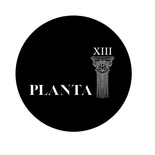 PLANTA XIII